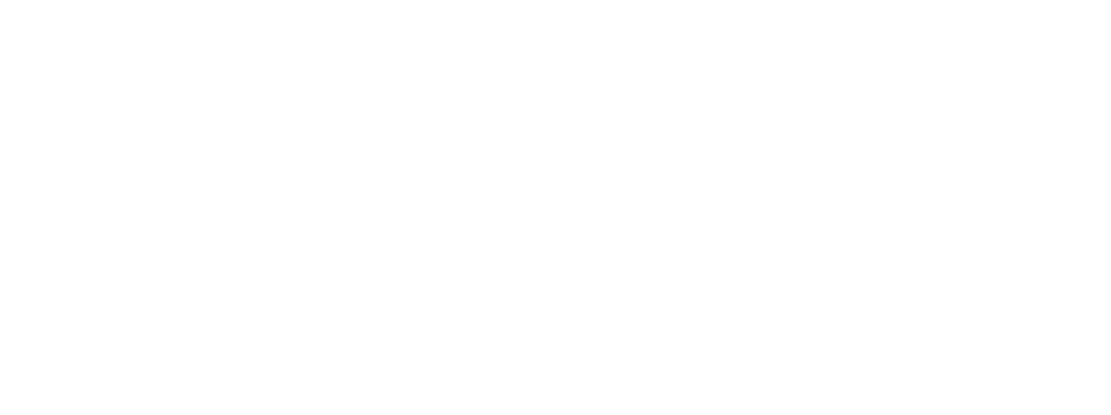 Andris Apse Icon